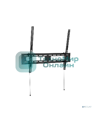 Универсальное наклонное настенное крепление Wize WT63 для 42