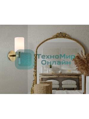 Настенный светильник Ambrella light LH56265 BS/FR латунь/белый матовый E27 max 60W 160*120*280