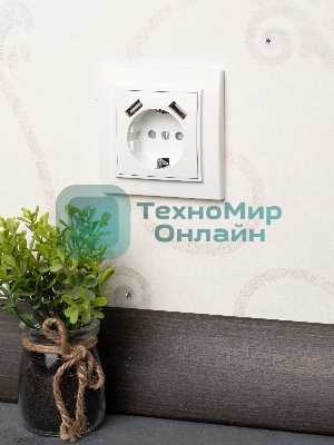 Розетка 1-местная СП с/з 16А белая с защ. штор. с 2 USB 2,1А EKF Минск