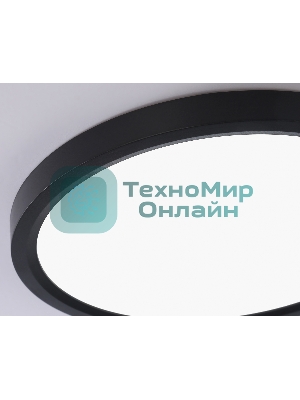 Светильник светодиодный ультратонкий Ambrella light FZ1904 BK черный IP54 20W 3000K-6500K CCT-переключатель D300*25 (Без ПДУ)
