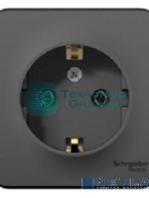 Розетка ОП Blanca 16А 250В без шторок c заземл. изол. пласт. антрацит SchE BLNRA010116