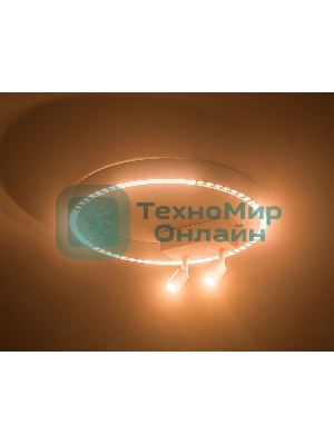 Потолочный светодиодный светильник Ambrella light FL5805/1+2 WH белый 25W 3000K/4200K/6400K D400*95 (без ПДУ)
