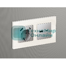 Лицевая панель ALFA (Сталь матовый) для розетки 2USB тип A+C QUANT AP5110