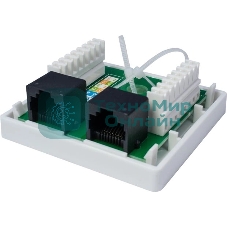 Розетка компьютерная 2-м 8P8C (RJ-45) UTP кат.5E SUPRLAN 10-0309