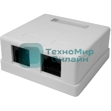 Розетка компьютерная 2-м 8P8C (RJ-45) UTP кат.5E SUPRLAN 10-0309
