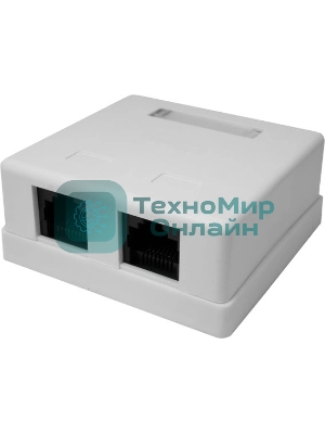Розетка компьютерная 2-м 8P8C (RJ-45) UTP кат.5E SUPRLAN 10-0309