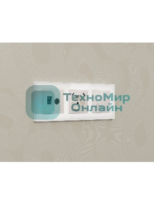 Комплект механизма электрической розетки 2USB С+C 20W (быстрая зарядка) с/з на винтовых зажимах 16A-250V ALFA Жемчуг QUANT (AP2105, VM165) MA210510