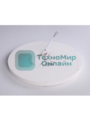 Светильник светодиодный ультратонкий Ambrella light FZ1905 WH белый IP54 26W 3000K-6500K CCT-переключатель D370*25 (Без ПДУ)