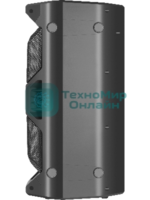 Портативная акустика Defender Rage 50 Вт Light/BT/FM/USB/LED/TWS черный