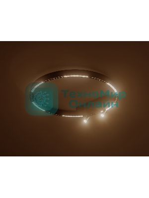 Потолочный светодиодный светильник Ambrella light FL5808/1+2 BK черный 40W 3000K/4200K/6400K D600*95 (без ПДУ)