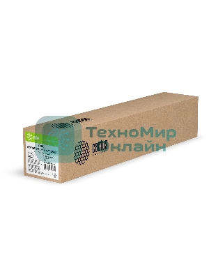 Холст Cactus CS-MC230-61030 24