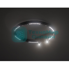 Потолочный светодиодный светильник Ambrella light FL5808/1+2 BK черный 40W 3000K/4200K/6400K D600*95 (без ПДУ)