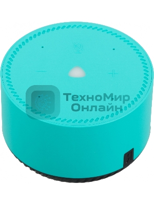 Умная колонка Яндекс Станция Лайт, 5Вт, компактная, 1 динамик, Алиса, Wi-Fi, Bluetooth, мята