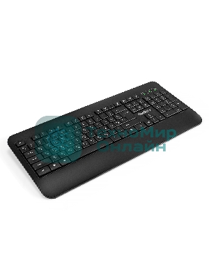 Клавиатура проводная ExeGate Professional Standard LY-E5500M, USB, черный