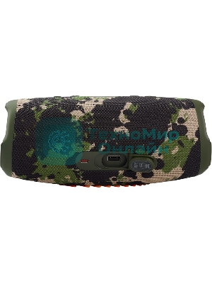 Портативная акустика JBL Charge 5, камуфляж