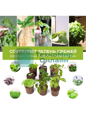 Набор питательных губок Cactus CS-SPONGE-10 для проращивания для CS-LEDPOT-06/08/10 (упак.:10шт) пакет