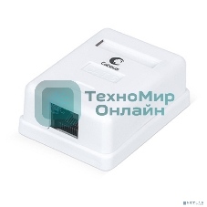 Розетка в сборе Cabeus, 1x RJ45(8P8C), кат. 6, неэкр., внешняя, белый, (WS-8P8C-Cat.6-1)