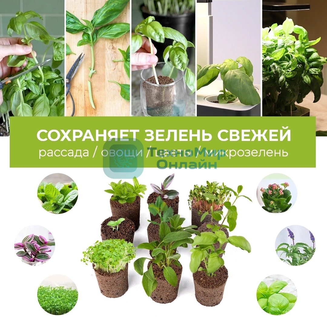 Набор питательных губок Cactus CS-SPONGE-11 для проращивания для CS-LEDPOT-11/SMARTPOT-11 (упак.:11шт) пакет
