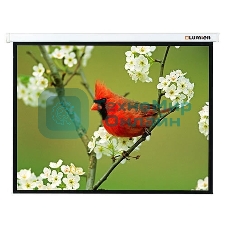 Экран Lumien 171x128см Master Picture LMP-100108 4:3 настенно-потолочный рулонный белый
