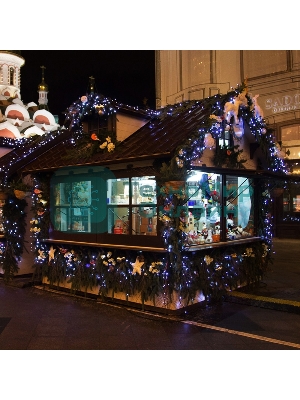 Гирлянда Neon-night Нить 10м, постоянное свечение, черный ПВХ, 24В, белый