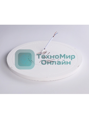 Светильник светодиодный ультратонкий Ambrella light FZ1907 WH белый IP54 35W 3000K-6500K CCT-переключатель D450*25 (Без ПДУ)