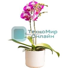 Светильник фито Cactus GARDEN светод. 7.5Вт цв.св.:белый (CS-LED-ORCHID)