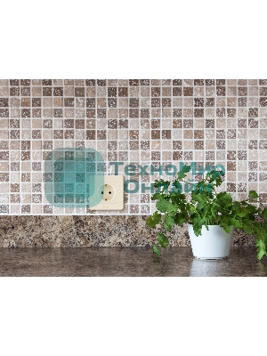 Розетка 2К+З немецкий стандарт 16А 250 В слоновая кость