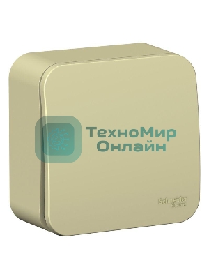 Переключатель 1-клавишный (cх.6) изолир. пластина 10А, 250B SE Blanca наруж Беж