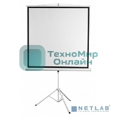 Экран 180x180см Digis Kontur-D DSKD-1105 1:1 напольный рулонный