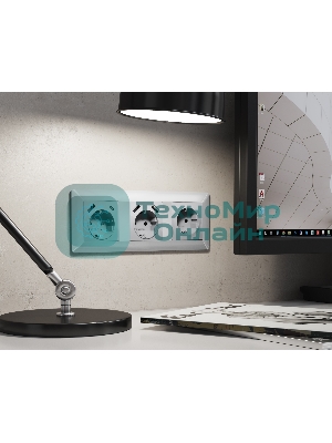 Комплект механизма электрической розетки ALFA Серебро глянец 2USB A+C 20W (быстрая зарядка) с/з QUANT (AP4100, VM160) MA410010