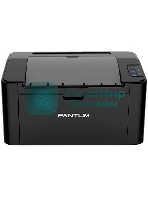 Принтер лазерный PANTUM P2516, A4, ч/б, печ. до 22 стр./мин., 600 x 600 dpi, USB, черный корпус