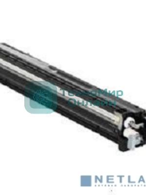 Блок девелопера черный Ricoh Developer Unit Bk (D1773025/D1773020) Black, черный, ресурс 120000 отпечатков, для Aficio MP C2003SP/C2503SP/C2003ZSP/C2503ZSP/C2011SP
