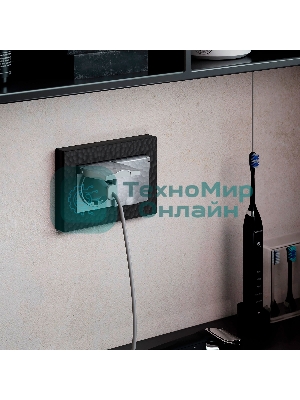 Рамка для двойной розетки (черный) W0082408