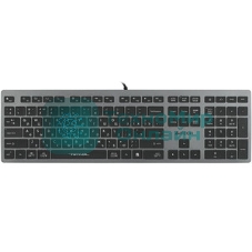 Клавиатура проводная A4Tech Fstyler FX60 серый/белый