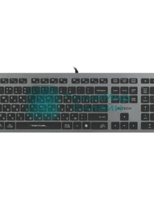 Клавиатура проводная A4Tech Fstyler FX60 серый/белый