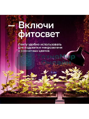 Лента светодиодная Sber SBDV-00038