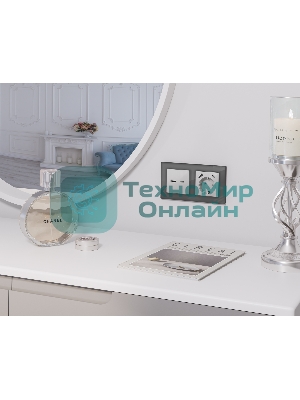 Комплект механизма розетки ALFA Серебро глянец 2USB A+C 20W (быстрая зарядка) QUANT (AP4110, VM177) MA411010