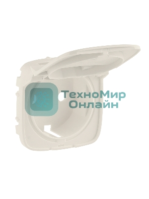 Накладка розетки с/з с крышкой 754846 Legrand Valena ALLURE Сл.кость