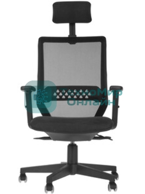 Кресло Бюрократ EXPERT TW-01 черный, сетка, подголовник