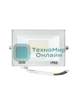 Прожектор Rexant СДО 30 Вт 2400 Лм 5000 K белый корпус