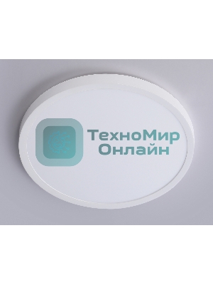 Светильник светодиодный ультратонкий Ambrella light FZ1951 WH белый IP54 20W 5000K D270*15 (Без ПДУ)