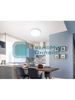 Светильник светодиодный ультратонкий Ambrella light FZ1951 WH белый IP54 20W 5000K D270*15 (Без ПДУ)