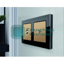 Лицевая панель ALFA (Шампань) для HDMI розетки QUANT AP6140