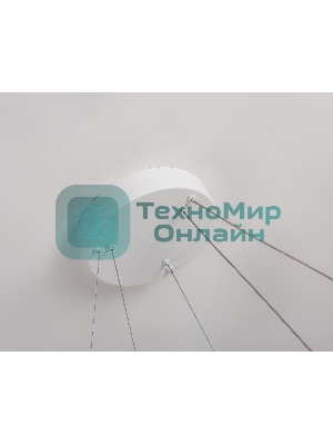 Подвесной светодиодный светильник Ambrella light FL5862/2 WH белый 45W 3000K/4200K/6400K D600/400*830 (без ПДУ)