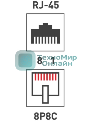 Розетка компьютерная Rexant 2-м ОП RJ45 CAT.5E бел.