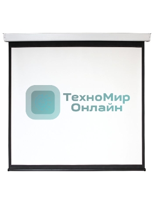 Экран 159x159см Digis Electra-F DSEF-1103 1:1 настенно-потолочный рулонный (моторизованный привод)