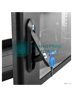 Шкаф коммутационный ЦМО (ШРН-6.350-9005) настенный 6U 600x350 мм пер. дв. стекл 200 кг черный 300 мм 180 град.