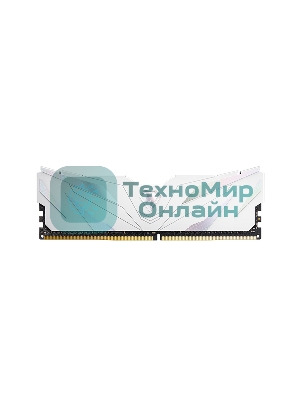Оперативная память NETAC, DDR4, 16GB (2x8GB), 3200MHz, CL16, DIMM, с радиаторами, белый