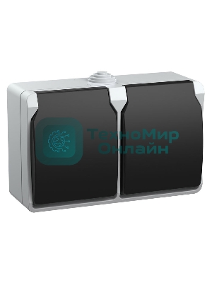 Розетка двухместная РСб22-3-ФСр с з/к для открытой установки IP54 Форс ERS22-K03-16-54-DC IEK