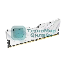 Оперативная память NETAC, DDR4, 16GB (1x16GB), 3200MHz, CL16, DIMM, с радиатором, белый